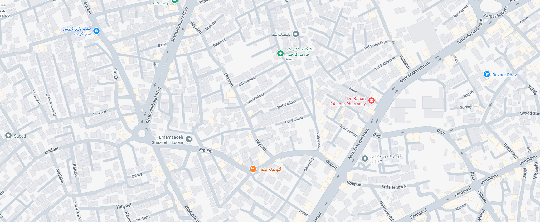 google map
